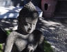 Offerings