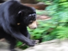 Bangkok Zoo