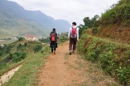 Sapa