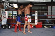 Dragon Muay Thai