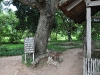 Choeung Ek