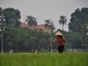 Ho Chi Minh Mausoleum Complex