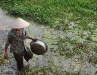 Hoi An