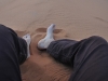 Sahara