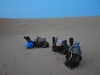 Sahara