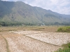 Dry Season