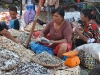 Market