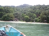 Our Jungle Paradise
