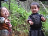 Sapa