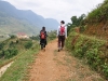 Sapa