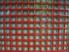 10,000 Buddhas