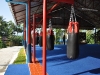 Dragon Muay Thai